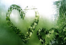 巧用财务软件，效率翻倍的“快捷键”