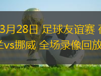 03月28日 足球友谊赛 荷兰vs挪威 全场录像回放
