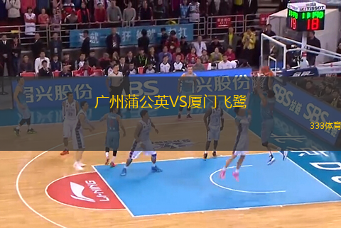 广州蒲公英VS厦门飞鹭