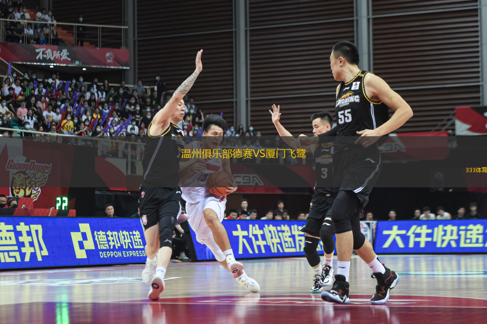 温州俱乐部德赛VS厦门飞鹭