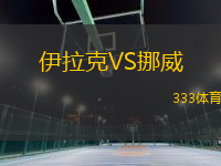 伊拉克VS挪威