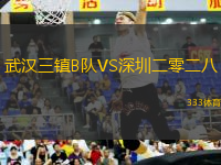 武汉三镇B队VS深圳二零二八