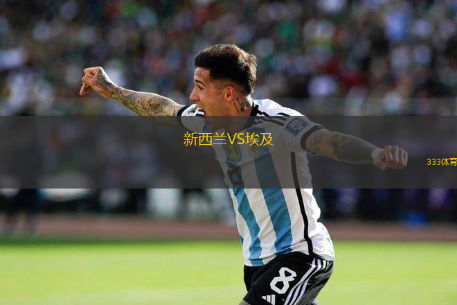 新西兰VS埃及