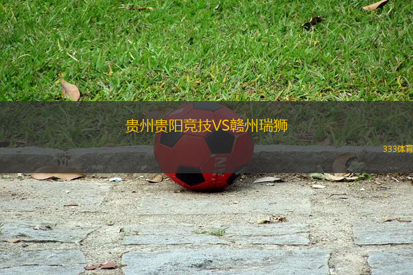 贵州贵阳竞技VS赣州瑞狮