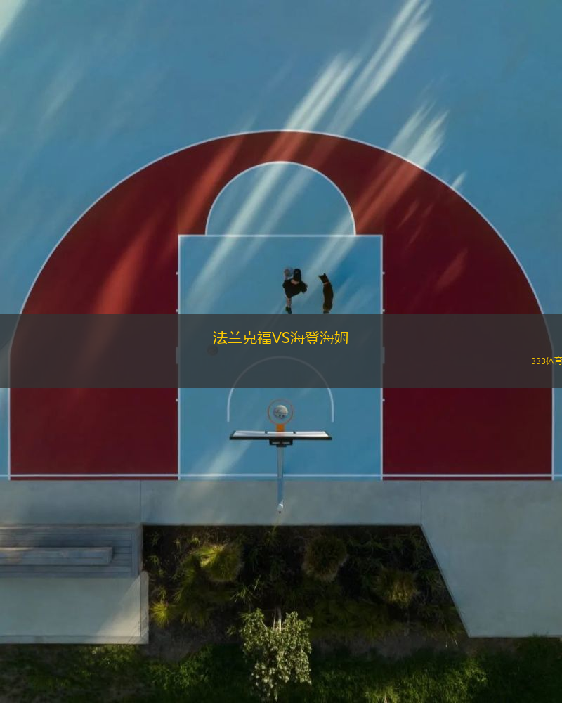 法兰克福VS海登海姆