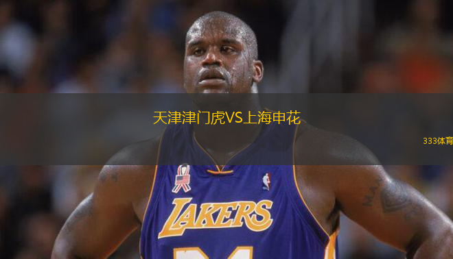 天津津门虎VS上海申花