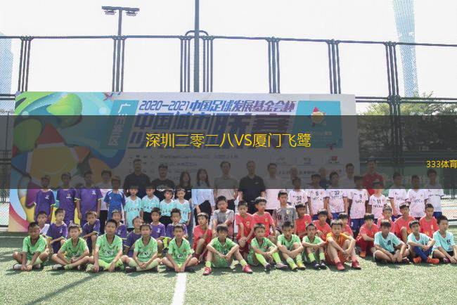 深圳二零二八VS厦门飞鹭