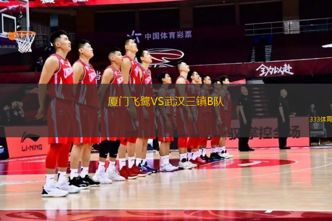 厦门飞鹭VS武汉三镇B队